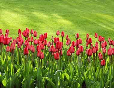I need best Clipping path service provider